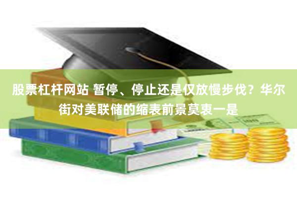 股票杠杆网站 暂停、停止还是仅放慢步伐？华尔街对美联储的缩表前景莫衷一是