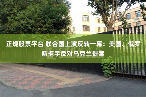 正规股票平台 联合国上演反转一幕：美国、俄罗斯携手反对乌克兰提案