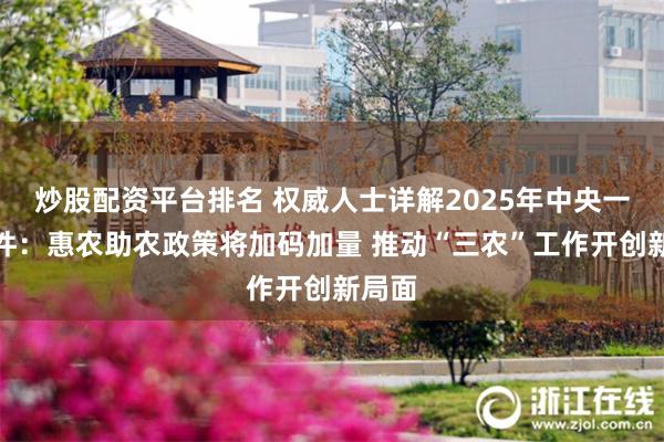 炒股配资平台排名 权威人士详解2025年中央一号文件：惠农助农政策将加码加量 推动“三农”工作开创新局面