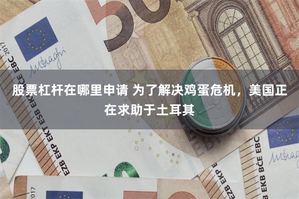 股票杠杆在哪里申请 为了解决鸡蛋危机，美国正在求助于土耳其