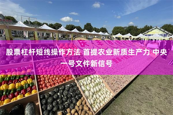 股票杠杆短线操作方法 首提农业新质生产力 中央一号文件新信号