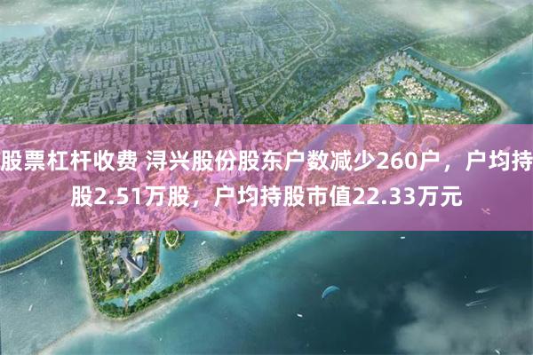 股票杠杆收费 浔兴股份股东户数减少260户，户均持股2.51万股，户均持股市值22.33万元