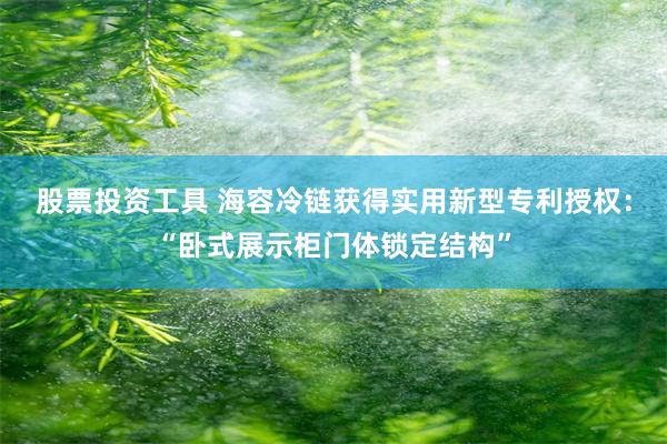 股票投资工具 海容冷链获得实用新型专利授权：“卧式展示柜门体锁定结构”