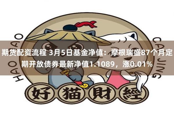 期货配资流程 3月5日基金净值：摩根瑞盛87个月定期开放债券最新净值1.1089，涨0.01%