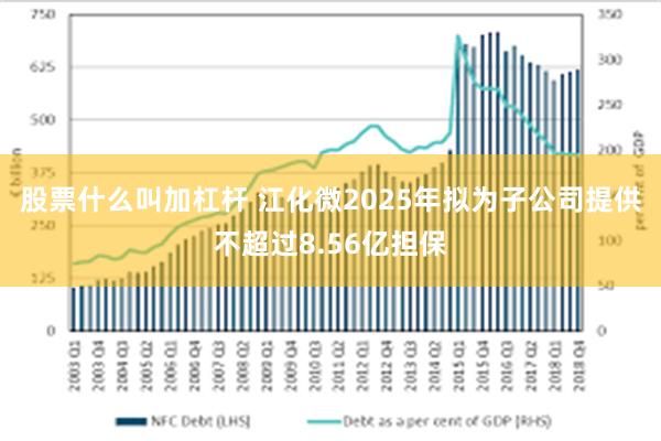 股票什么叫加杠杆 江化微2025年拟为子公司提供不超过8.56亿担保