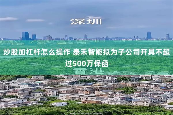 炒股加杠杆怎么操作 泰禾智能拟为子公司开具不超过500万保函