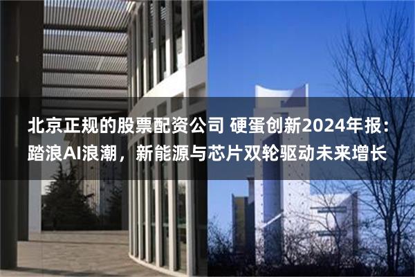 北京正规的股票配资公司 硬蛋创新2024年报：踏浪AI浪潮，新能源与芯片双轮驱动未来增长