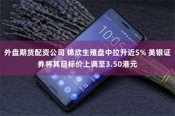 外盘期货配资公司 锦欣生殖盘中拉升近5% 美银证券将其目标价上调至3.50港元