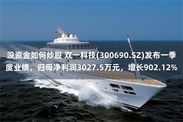 没资金如何炒股 双一科技(300690.SZ)发布一季度业绩，归母净利润3027.5万元，增长902.12%