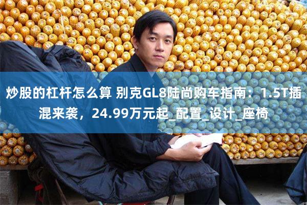 炒股的杠杆怎么算 别克GL8陆尚购车指南：1.5T插混来袭，24.99万元起_配置_设计_座椅