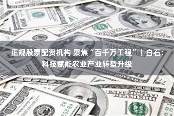 正规股票配资机构 聚焦“百千万工程”丨白石：科技赋能农业产业转型升级