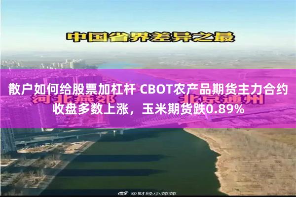 散户如何给股票加杠杆 CBOT农产品期货主力合约收盘多数上涨，玉米期货跌0.89%
