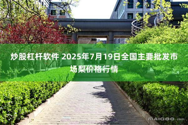 炒股杠杆软件 2025年7月19日全国主要批发市场梨价格行情