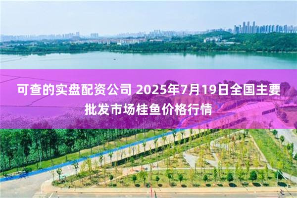 可查的实盘配资公司 2025年7月19日全国主要批发市场桂鱼价格行情