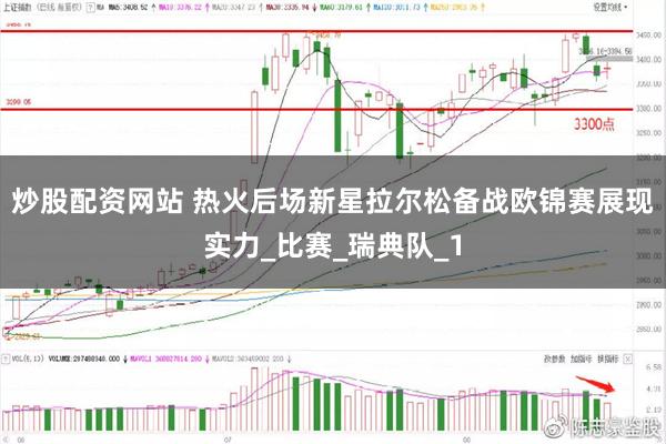 炒股配资网站 热火后场新星拉尔松备战欧锦赛展现实力_比赛_瑞典队_1