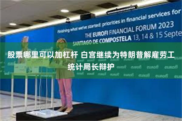 股票哪里可以加杠杆 白宫继续为特朗普解雇劳工统计局长辩护