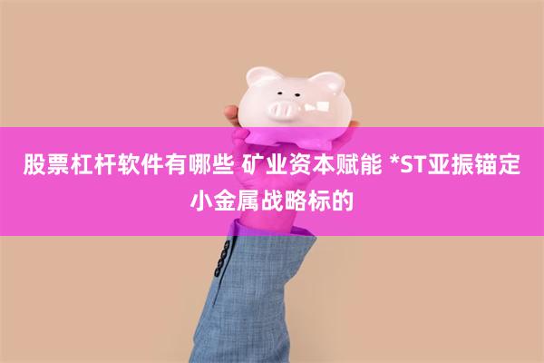 股票杠杆软件有哪些 矿业资本赋能 *ST亚振锚定小金属战略标的