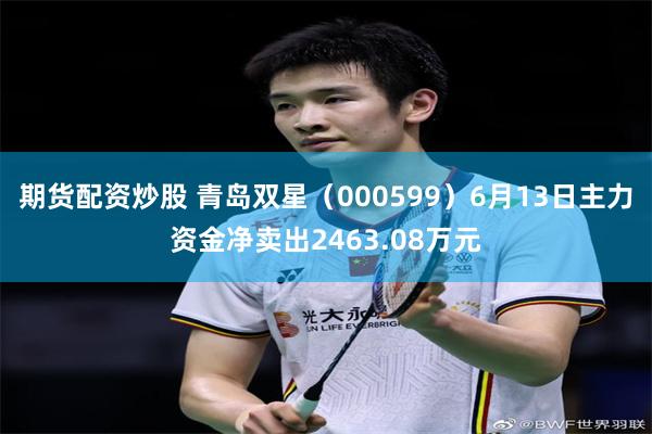 期货配资炒股 青岛双星（000599）6月13日主力资金净卖出2463.08万元