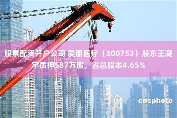 股票配资开户公司 爱朋医疗（300753）股东王凝宇质押587万股，占总股本4.65%