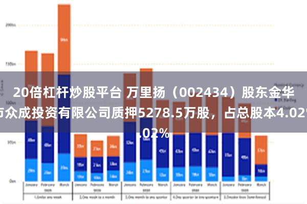 20倍杠杆炒股平台 万里扬（002434）股东金华市众成投资有限公司质押5278.5万股，占总股本4.02%