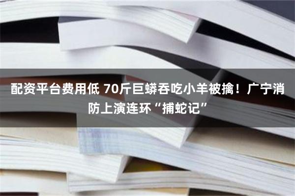 配资平台费用低 70斤巨蟒吞吃小羊被擒！广宁消防上演连环“捕蛇记”