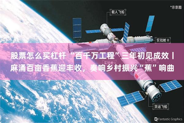 股票怎么买杠杆 “百千万工程”三年初见成效丨麻涌百亩香蕉迎丰收，奏响乡村振兴“蕉”响曲