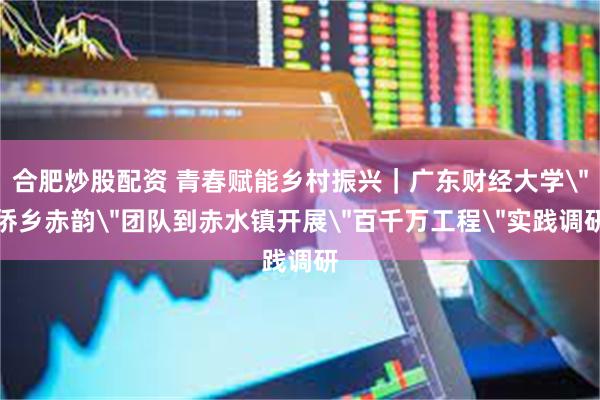 合肥炒股配资 青春赋能乡村振兴｜广东财经大学