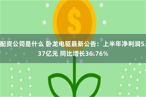 配资公司是什么 卧龙电驱最新公告：上半年净利润5.37亿元 同比增长36.76%