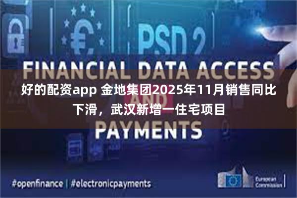 好的配资app 金地集团2025年11月销售同比下滑，武汉新增一住宅项目