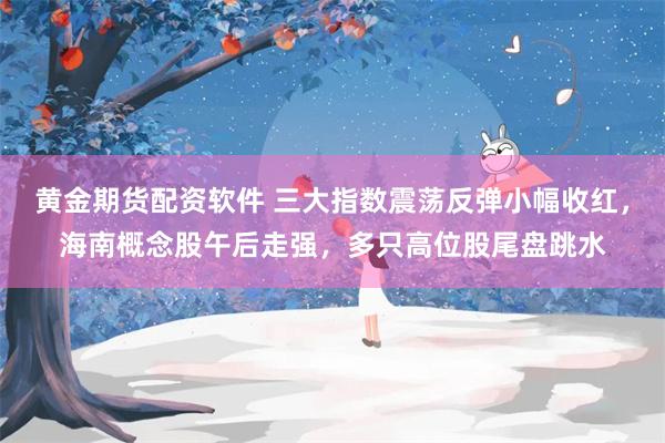 黄金期货配资软件 三大指数震荡反弹小幅收红，海南概念股午后走强，多只高位股尾盘跳水