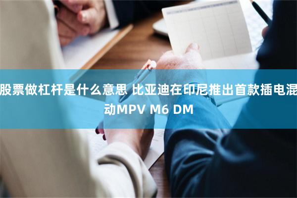 股票做杠杆是什么意思 比亚迪在印尼推出首款插电混动MPV M6 DM