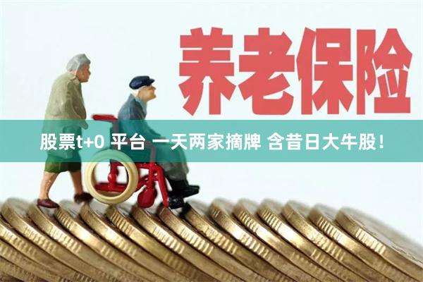 股票t+0 平台 一天两家摘牌 含昔日大牛股！