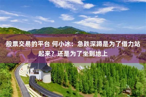 股票交易的平台 何小冰:急跌深蹲是为了借力站起来?还是为了坐到地上