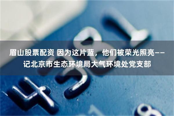 眉山股票配资 因为这片蓝，他们被荣光照亮——记北京市生态环境局大气环境处党支部
