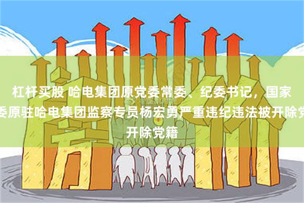杠杆买股 哈电集团原党委常委、纪委书记，国家监委原驻哈电集团监察专员杨宏勇严重违纪违法被开除党籍