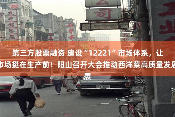第三方股票融资 建设“12221”市场体系，让市场挺在生产前！阳山召开大会推动西洋菜高质量发展