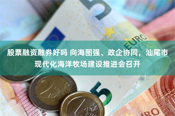 股票融资融券好吗 向海图强、政企协同，汕尾市现代化海洋牧场建设推进会召开