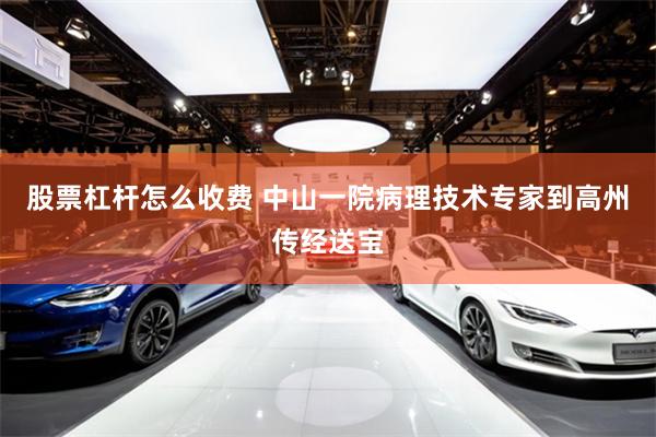 股票杠杆怎么收费 中山一院病理技术专家到高州传经送宝