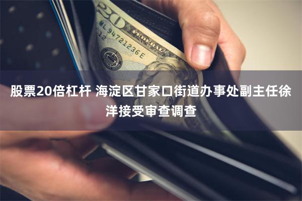 股票20倍杠杆 海淀区甘家口街道办事处副主任徐洋接受审查调查