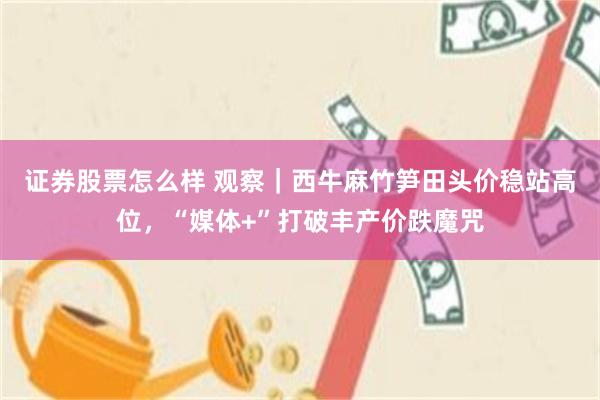 证券股票怎么样 观察|西牛麻竹笋田头价稳站高位,“媒体+”打破丰产价跌魔咒
