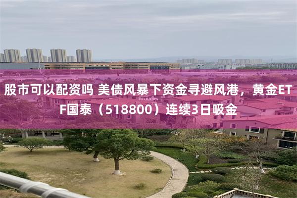 股市可以配资吗 美债风暴下资金寻避风港，黄金ETF国泰（518800）连续3日吸金