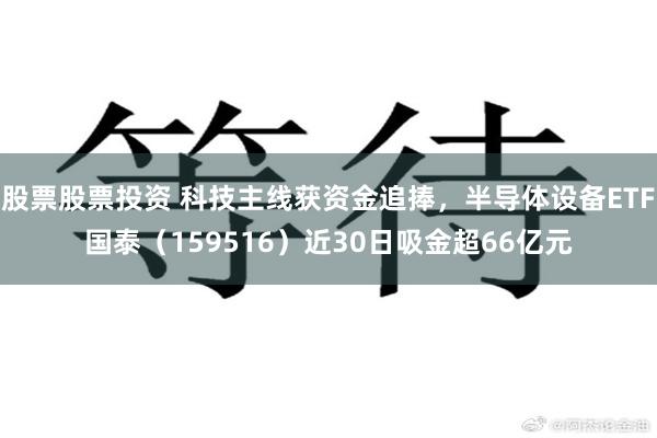 股票股票投资 科技主线获资金追捧，半导体设备ETF国泰（159516）近30日吸金超66亿元