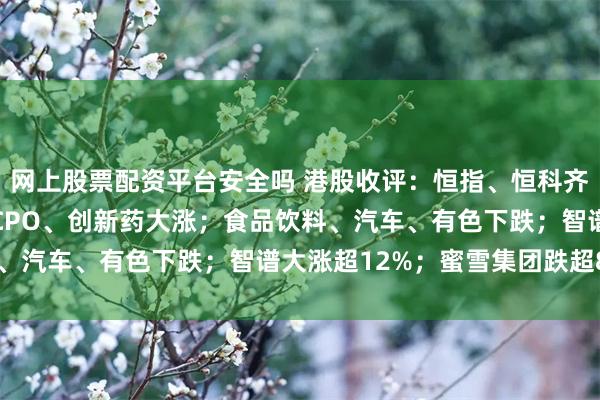 网上股票配资平台安全吗 港股收评：恒指、恒科齐跌；半导体全天走强，CPO、创新药大涨；食品饮料、汽车、有色下跌；智谱大涨超12%；蜜雪集团跌超8%