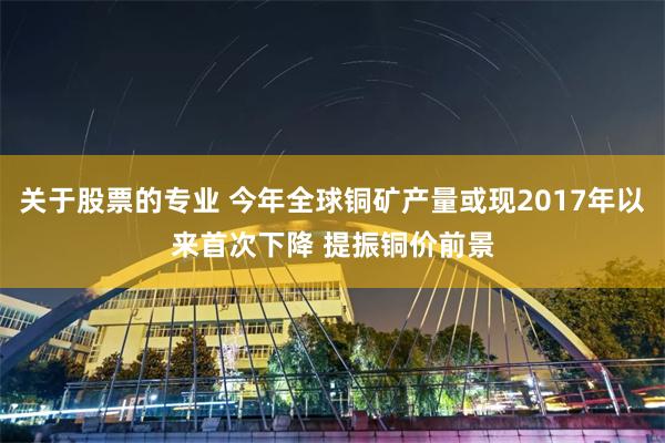 关于股票的专业 今年全球铜矿产量或现2017年以来首次下降 提振铜价前景
