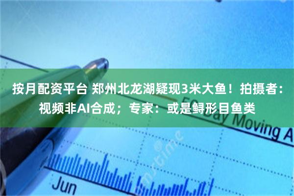 按月配资平台 郑州北龙湖疑现3米大鱼！拍摄者：视频非AI合成；专家：或是鲟形目鱼类