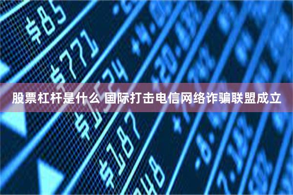 股票杠杆是什么 国际打击电信网络诈骗联盟成立