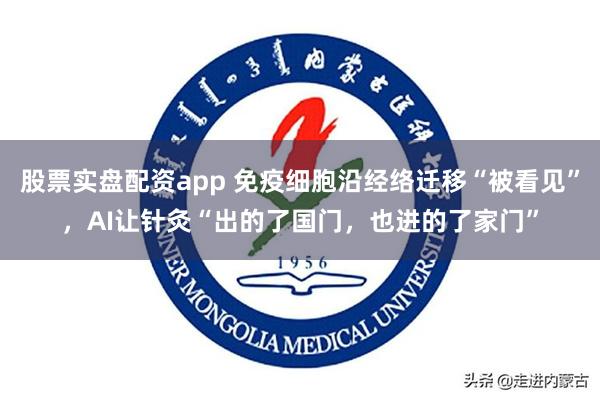 股票实盘配资app 免疫细胞沿经络迁移“被看见”，AI让针灸“出的了国门，也进的了家门”