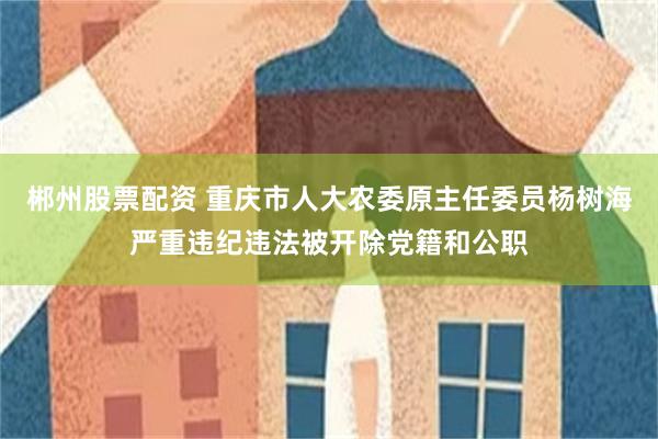 郴州股票配资 重庆市人大农委原主任委员杨树海严重违纪违法被开除党籍和公职