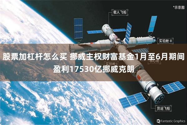 股票加杠杆怎么买 挪威主权财富基金1月至6月期间盈利17530亿挪威克朗
