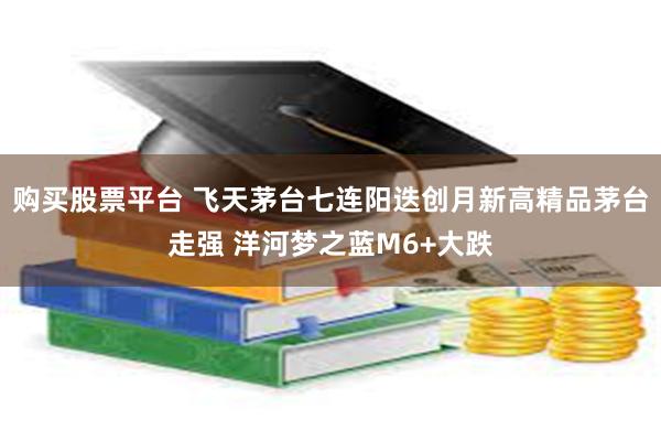 购买股票平台 飞天茅台七连阳迭创月新高精品茅台走强 洋河梦之蓝M6+大跌